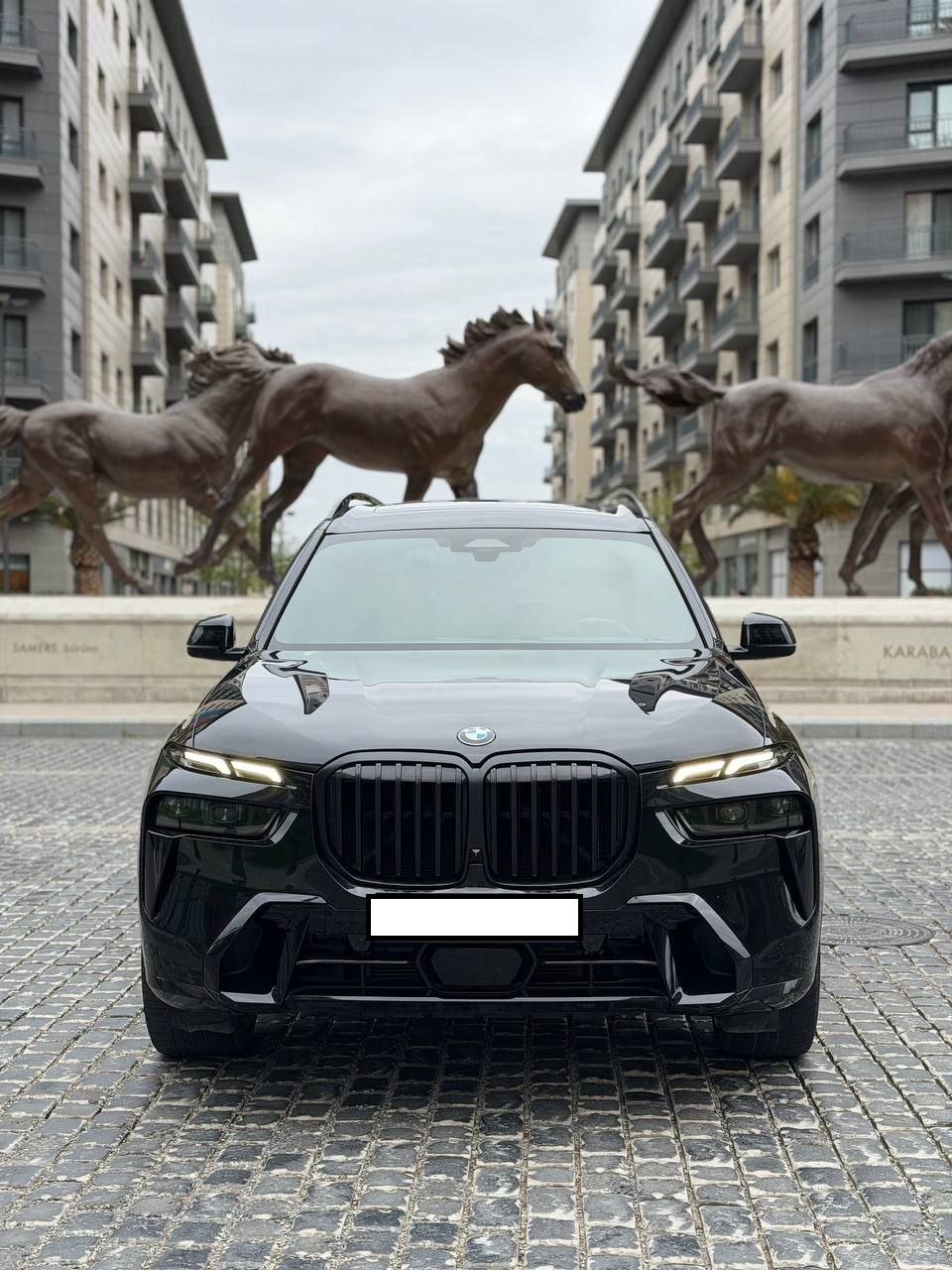 BMW X7 əlavə şəkil 3