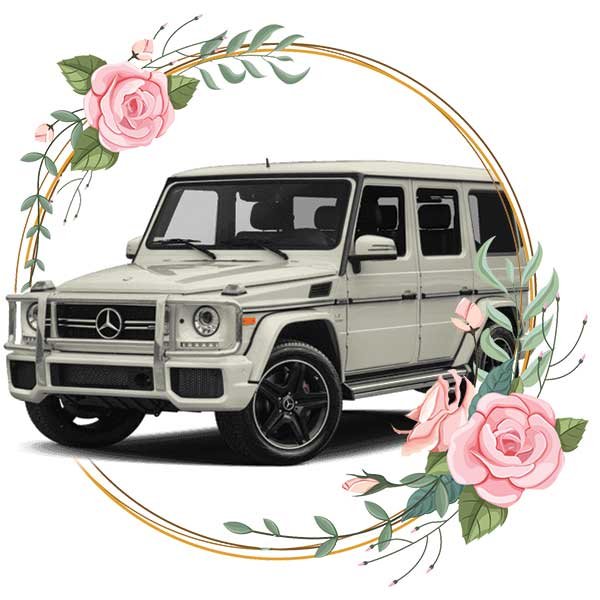 Toy və Tədbirlər üçün İcarə